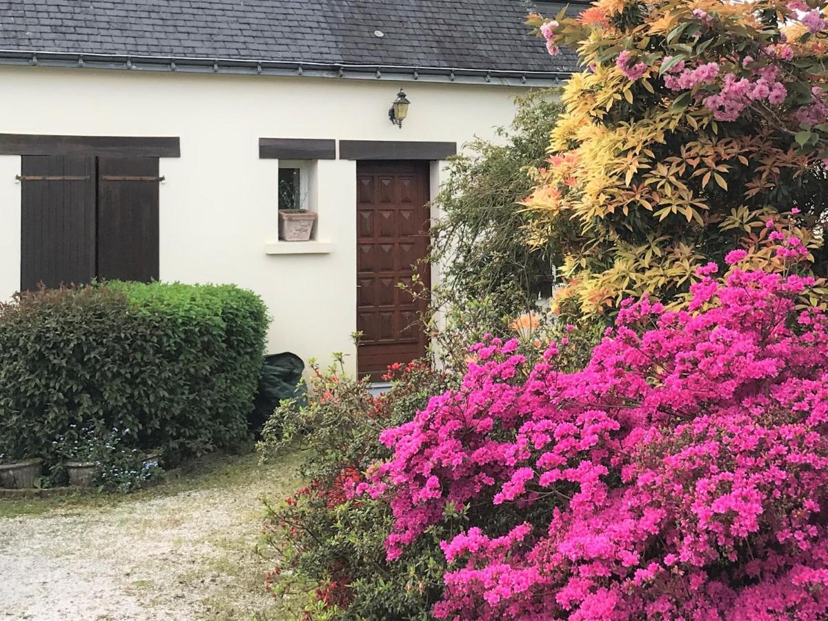 Ti Cairn Villa Moëlan-sur-Mer Eksteriør bilde